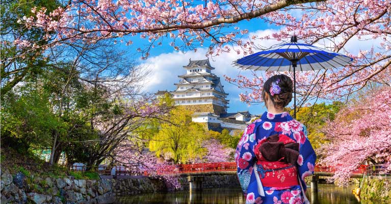 Japan Packages